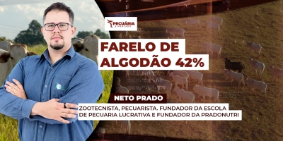 Quais as vantagens e quando utilizar o farelo de algodão na dieta dos animais