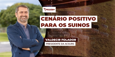 Suinocultura no RS inicia o ano com ritmo mais lento e leve pressão nos preços, mas cenário é positivo