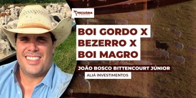 Relação de troca cada vez mais apertada requer estratégia e planejamento na hora de fazer a reposição do rebanho