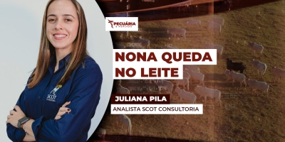 Produtor amarga nona queda seguida nos preços do leite e margens apertam ainda mais