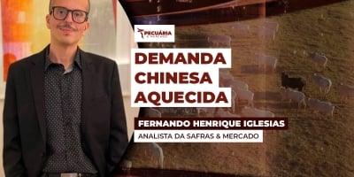 Demanda externa garantiu sustentação da arroba bovina em 2025