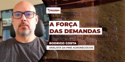 A importância das demandas, interna e externa, na formação de preços da arroba do boi
