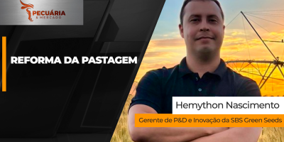 Valorização da arroba cria a melhor janela dos últimos anos para reforma de pastagens