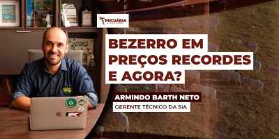 Dicas práticas para evitar armadilhas na aquisição de bezerros durante esse período de valorização