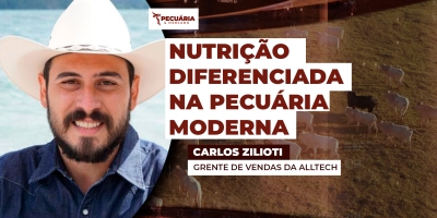Uso de aditivos na dieta animal apoia conversão  nutricional e melhora ganho de peso dos animais