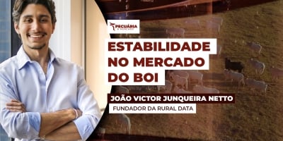 Com grande parte das indústrias em férias coletivas, a estabilidade segue predominando no mercado pecuário