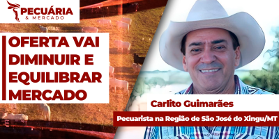 Pecuarista tradicional acredita em redução de oferta de animais para ajustar mercado a partir de Agosto