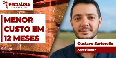 Confinamento de agosto em SP registra menor custo de produção em 12 meses com margem real positiva para a atividade
