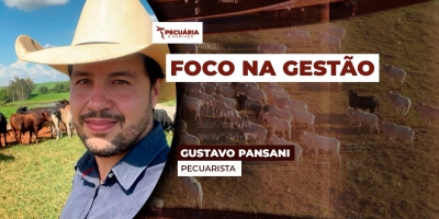 Intensificação da pecuária, com foco na gestão, potencializa resultados numa propriedade de 63 ha no interior de SP