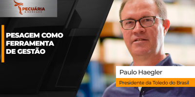 A pesagem dos animais como aliada do pecuarista na gestão da atividade