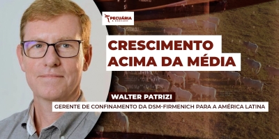 Número de animais confinados em 2025 cresceu 16% , acima da média histórica