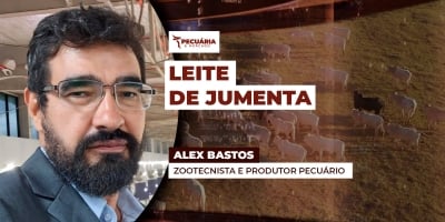 Asininocultura aposta em valor agregado e economia circular para ganhar rentabilidade