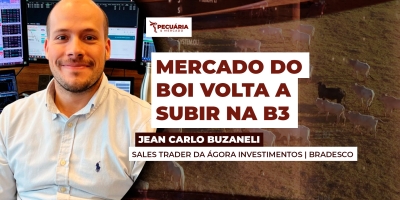 Mercado do boi volta a subir na B3 depois de derreter quase R$15 nas nas últimas semanas