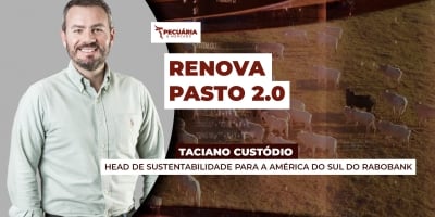 Novos recursos para o programa de recuperação sustentável das pastagens com o Renova Pasto do Rabobank