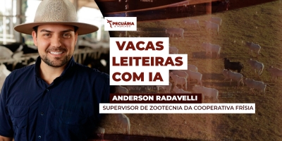 IA no rebanho leiteiro pode atuar em frentes que vão desde a gestão até a melhora da qualidade do leite