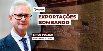 Exportações de carne de frango podem bater recorde em outubro, mesmo sem China