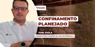 A importância do planejamento estratégico na compra de insumos que serão utilizados no confinamento