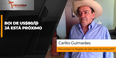 Depois de confirmar os US$70/@,  próximo alvo são os US$80/@ que deve acontecer em breve, projeta Carlito Guimarães