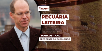 Endividamento e queda nos preços do leite ao produtor por longo período deixam setor em alerta