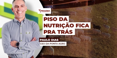 Custo da dieta no confinamento sobe antes do esperado aponta ICAP de outubro