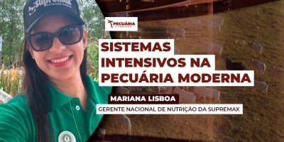 Modelos como TIP e RIP podem dobrar ou até triplicar ganhos diários de peso quando bem planejados
