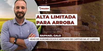 Alta da arroba no primeiro trimestre pode ser limitada por incertezas na exportação de carne