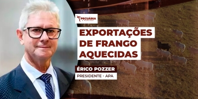 Mercado do frango inicia dezembro com boas perspectivas, mas poder de compra do produtor cai