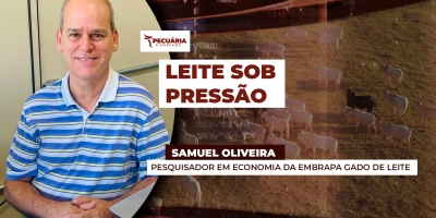 Preço do leite ao produtor perde a referência dos R$2 por litro e aperta margem no campo