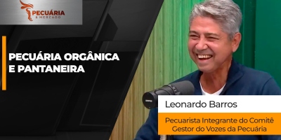 Pecuária do MS se reinventa com produção orgânica e sustentável no Pantanal