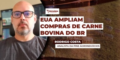 Com déficit de oferta, EUA importam 9 mil toneladas do Brasil em novembro e tendem a seguir comprando no início de 2026