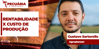 Boa compra da reposição e maior eficiência das operações no campo mudam custo do confinamento