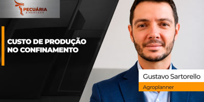 Arroba  do boi gordo sobe, mas a margem dos confinamentos piora em setembro