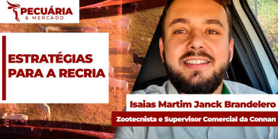 Manejo de pastagens e suplementação alimentar como estratégias para a recria