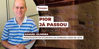 Preços do leite  ao produtor param de cair com ajuste  entre oferta e demanda