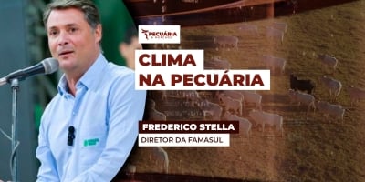 Pecuaristas de MS projetam 2026 com arroba mais valorizada e pastagens favorecidas