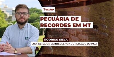 Exportações de carne crescem 28% e abate recorde chega a 7,5 milhões de cabeças em MT