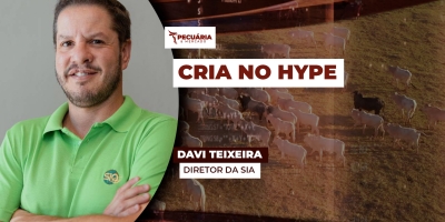 Sistema de cria tem potencial para registrar melhor rentabilidade na pecuária em 2026