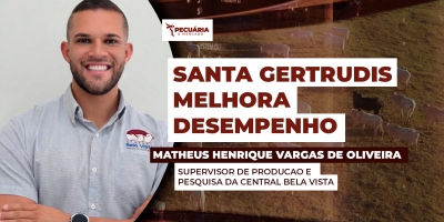 Prova mostra evolução da raça em eficiência alimentar e qualidade da carne