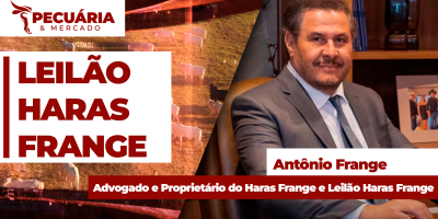 Leilão realizado pelo Haras Frange contabiliza R$ 60 milhões em negócios