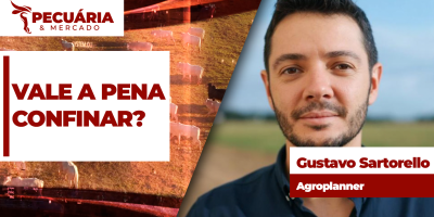 Custo da arroba produzida é o menor desde novembro de 2024, mas confinamento ainda pode gerar prejuízo