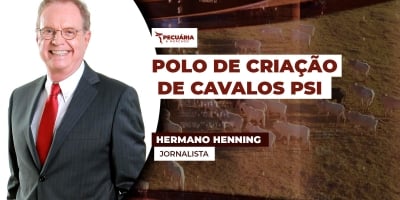 Cesário Lange (SP) se consolida como polo de criação de cavalos Puro Sangue Inglês no Brasil