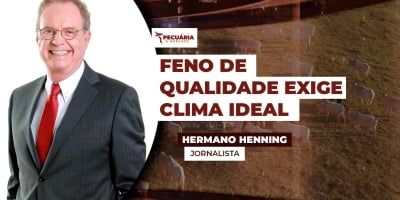 Colheita do feno exige atenção do criador às condições climáticas