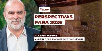 Preços da arroba devem chegar em R$ 350,00 em 2026, mas custos de produção também devem estar elevados