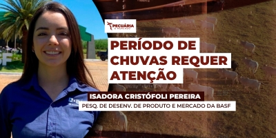 Período de chuvas requer atenção para controle do capim-navalha e da cigarrinha-das-pastagens
