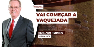 A cidade de Bezerros - PE , a vaquejada e o cavalo Roxão