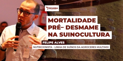 Aumento da produtividade na suinocultura gerou efeito colateral com aumento da mortalidade pré-desmame.