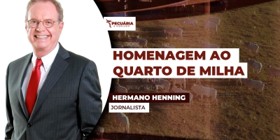 Criadores e cavalos destacados serão homenageados em prêmio da ABQM  em Campinas-SP