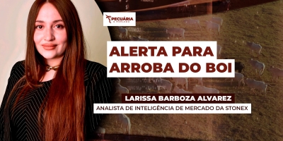 Prolongamento do conflito no Oriente Médio pode impactar movimento de alta da arroba