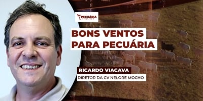 Pecuarista em SP está otimista e acredita em ano com rentabilidade positiva, independente do preço da arroba
