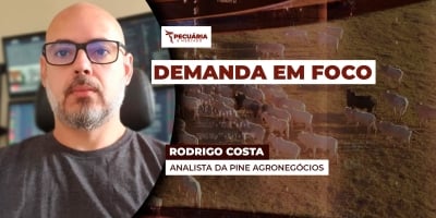 As exportações de carne bovina e o papel dos principais compradores brasileiros